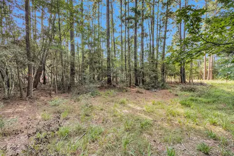 1505 Cheyenne Loop, Montgomery, TX 77316