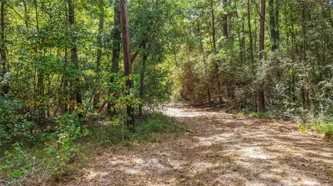 Other - 1215 Trinlady Park Rd, Trinity, TX 75862 photo 6 of 12