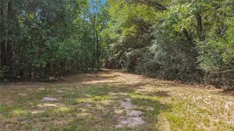 Other - 1215 Trinlady Park Rd, Trinity, TX 75862 photo 5 of 12