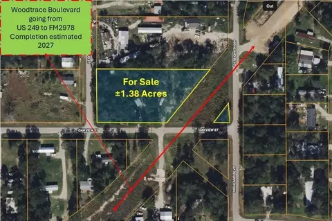 30002 Rosebud St, Magnolia, TX 77354