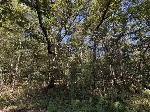 25595 Hwy 787, Thicket, TX 77374