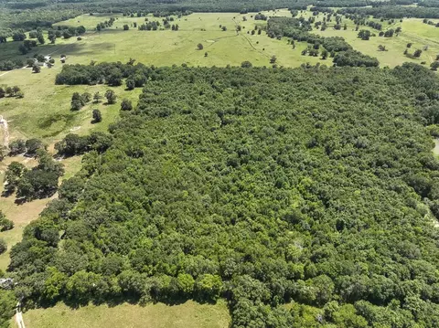 View/Area - tbd Elmore Loop, Shepherd, TX 77371 photo 1 of 6