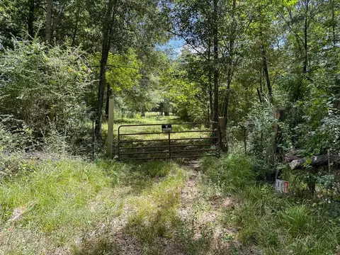 Other - tbd Elmore Loop, Shepherd, TX 77371 photo 3 of 6
