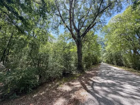 Other - tbd Elmore Loop, Shepherd, TX 77371 photo 6 of 6