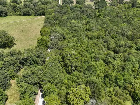 View/Area - tbd Elmore Loop, Shepherd, TX 77371 photo 6 of 6