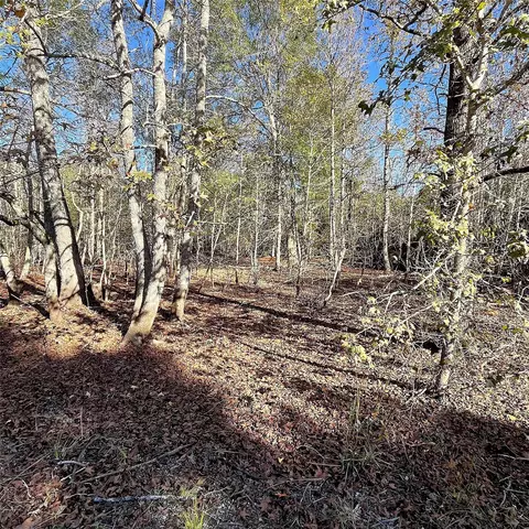 Other - 12124 County Road 122, Centerville, TX 75833 photo 13 of 20
