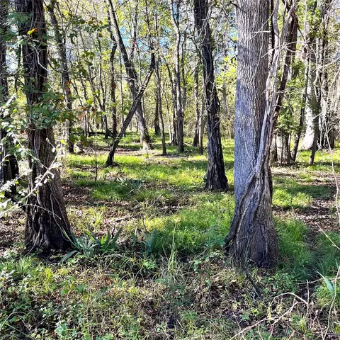 Other - 12124 County Road 122, Centerville, TX 75833 photo 10 of 20