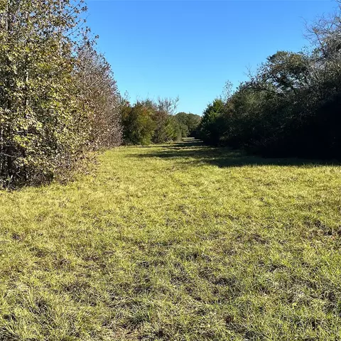 Other - 12124 County Road 122, Centerville, TX 75833 photo 1 of 20