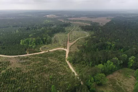 6 County Road, San Augustine, TX 75972 photo 10