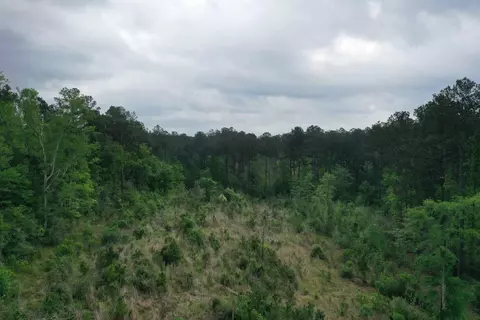 6 County Road, San Augustine, TX 75972 photo 9