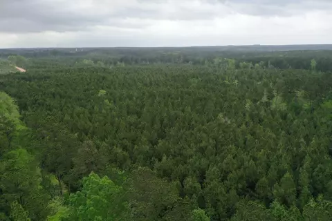 6 County Road, San Augustine, TX 75972 photo 4