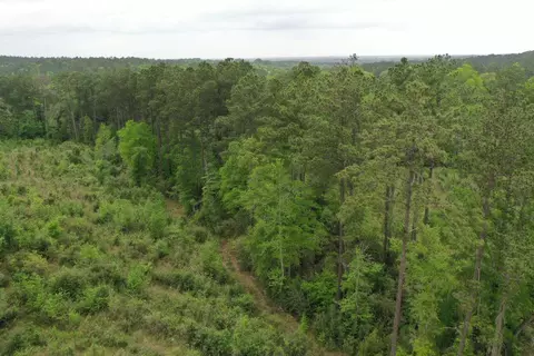 6 County Road, San Augustine, TX 75972 photo 7