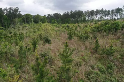 6 County Road, San Augustine, TX 75972 photo 8