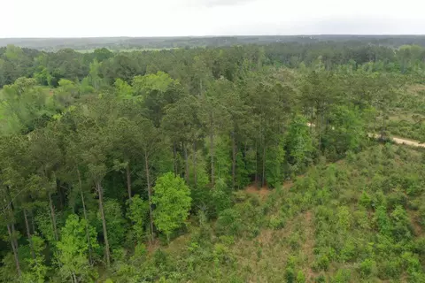 6 County Road, San Augustine, TX 75972 photo 6