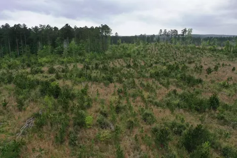 6 County Road, San Augustine, TX 75972 photo 2