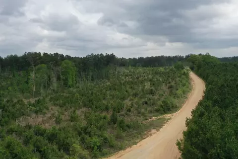 6 County Road, San Augustine, TX 75972 photo 5