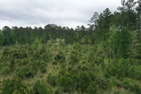 6 County Road, San Augustine, TX 75972 photo 3
