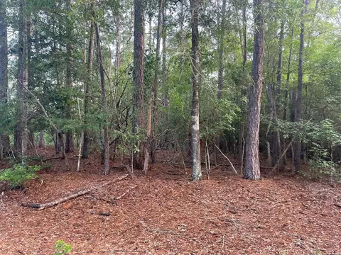 lot2 Buckeye St W, Village Mills, TX 77663