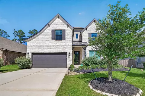 118 Dorado Sky Ct, Willis, TX 77318