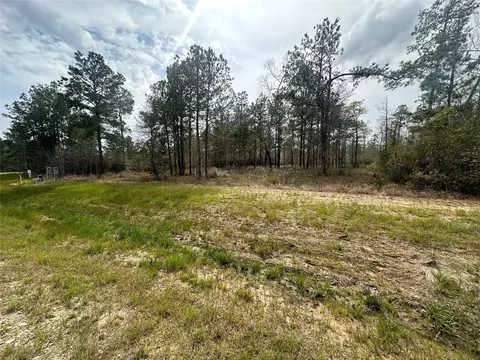 219 Iron Horse Rd, New Waverly, TX 77358