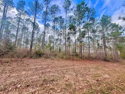 02 Fm 1005, Jasper, TX 75951