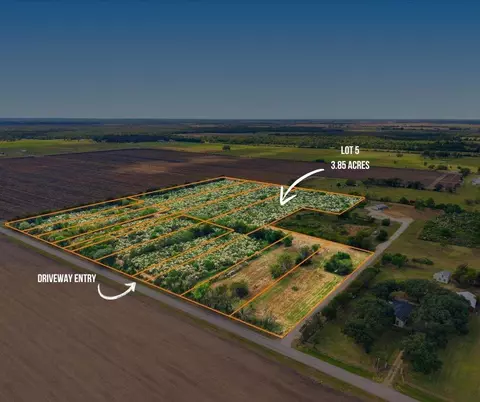 lot5 Cow Creek Rd, Damon, TX 77430