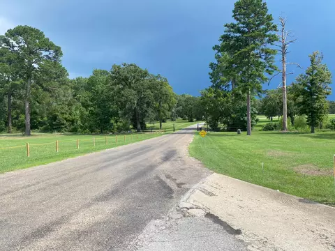 Lot 4 Briarfiled Way, Trinity, TX 75862 photo 5