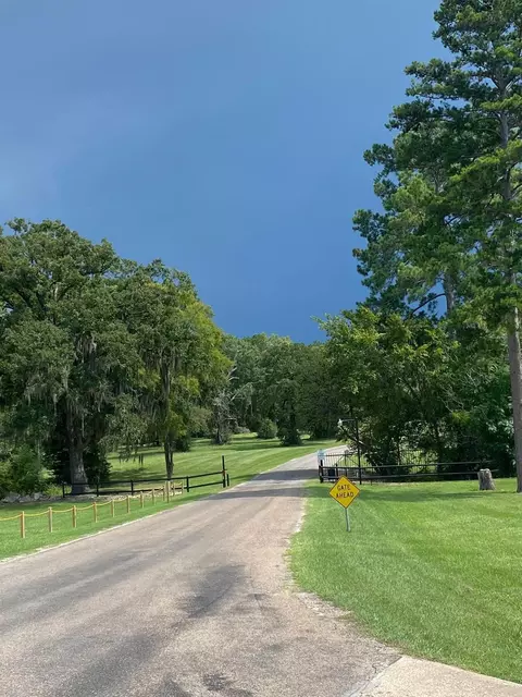 Lot 4 Briarfiled Way, Trinity, TX 75862 photo 11