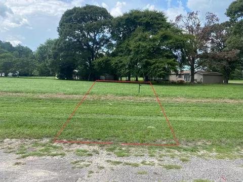 Lot 4 Briarfiled Way, Trinity, TX 75862