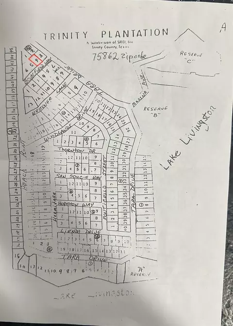 Lot 4 Briarfiled Way, Trinity, TX 75862 photo 4