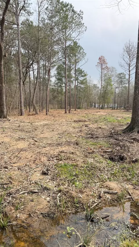 0 Dogwood Trl, Shepherd, TX 77371
