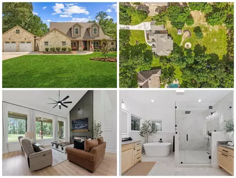 368 Ridgelake Scenic Dr, Montgomery, TX 77316