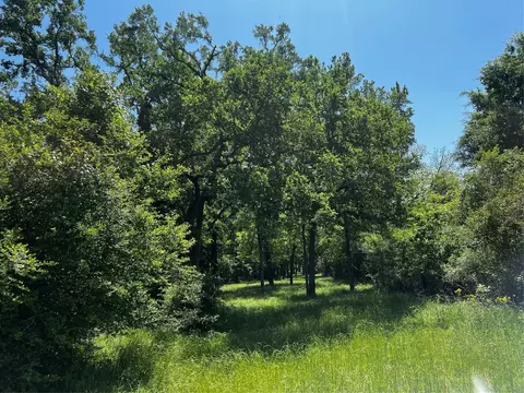 0 Meyer Rd, San Felipe, TX 77474