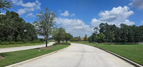 View/Area - 15000 Rustic Moon Rd, Conroe, TX 77302 photo 4 of 5