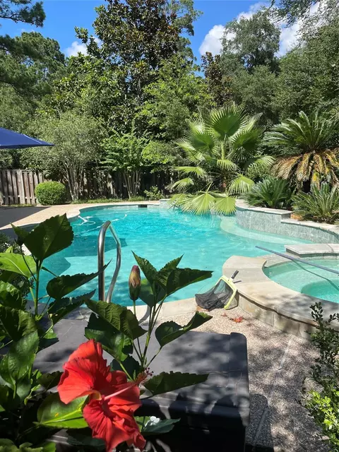 38 Dovewing Pl, The Woodlands, TX 77382