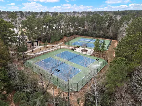 View/Area - 402 Elf Owl Ct, Willis, TX 77318 photo 2 of 4