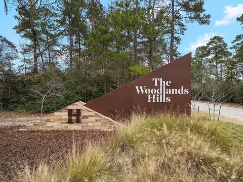 View/Area - 402 Elf Owl Ct, Willis, TX 77318 photo 1 of 4