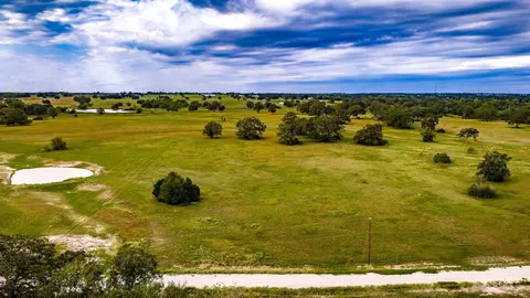 1390 Connor Landing St, Madisonville, TX 77864