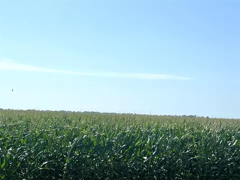 00 County Road 403, El Campo, TX 77437