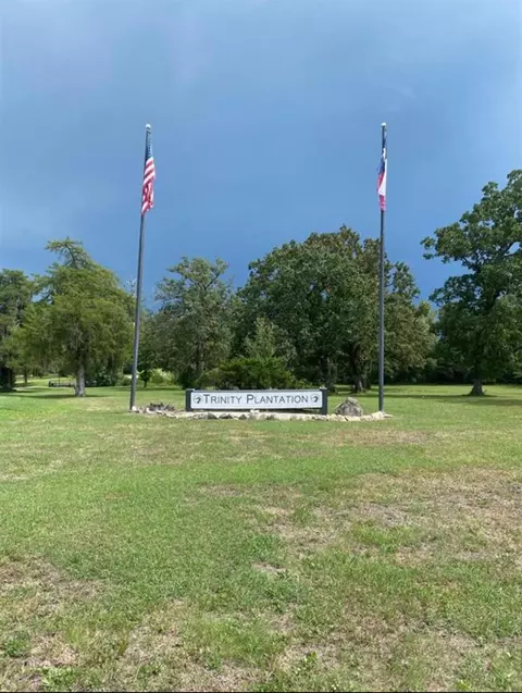 lot5 Thornton St, Trinity, TX 75862 photo 3