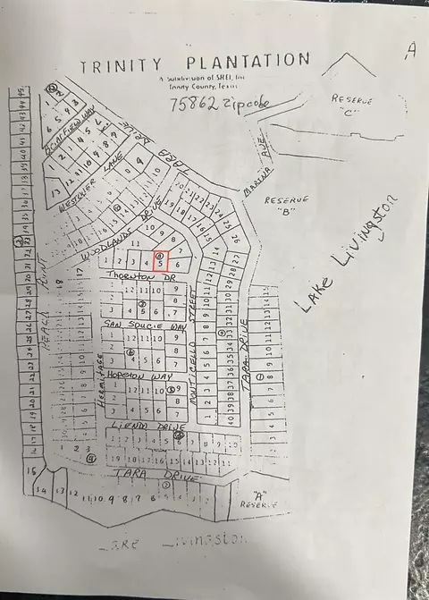lot5 Thornton St, Trinity, TX 75862