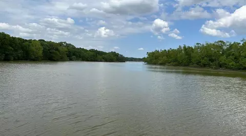 lot5 Thornton St, Trinity, TX 75862 photo 6