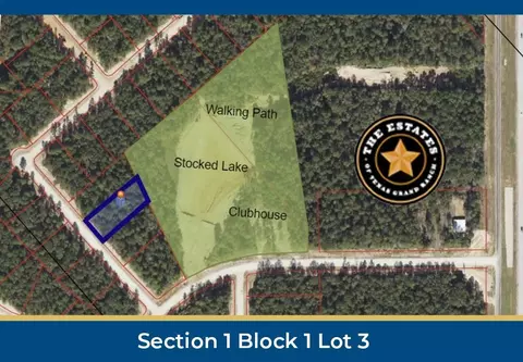 126 Hollow Hill Dr, New Waverly, TX 77358