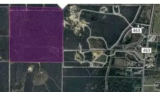 0 County Road 6753, Devine, TX 78016 photo 2