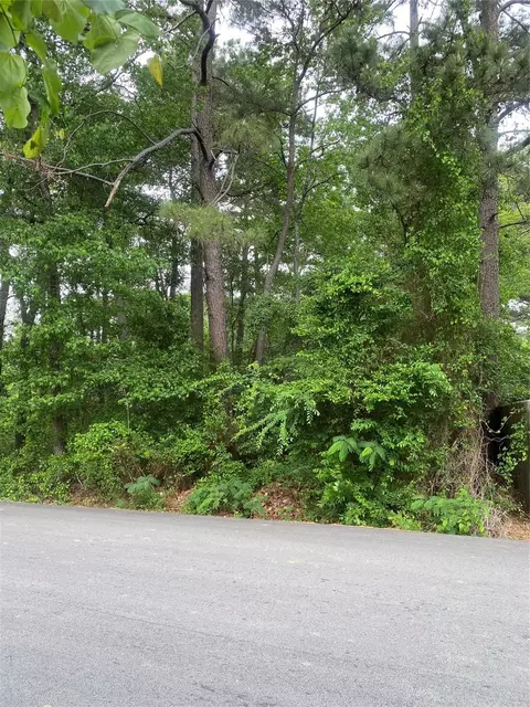 706 Hayman St, Huntsville, TX 77340
