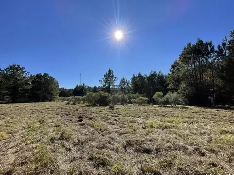 lot2 E Fm 942, Livingston, TX 77351