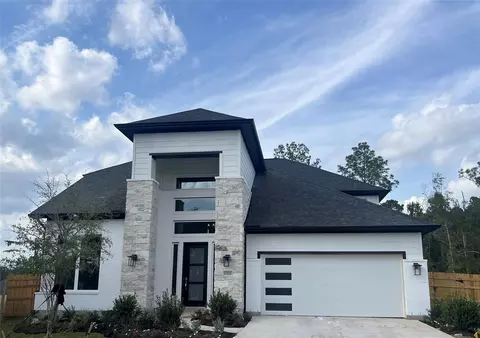 17202 Blooming Suzans Ln, Conroe, TX 77302