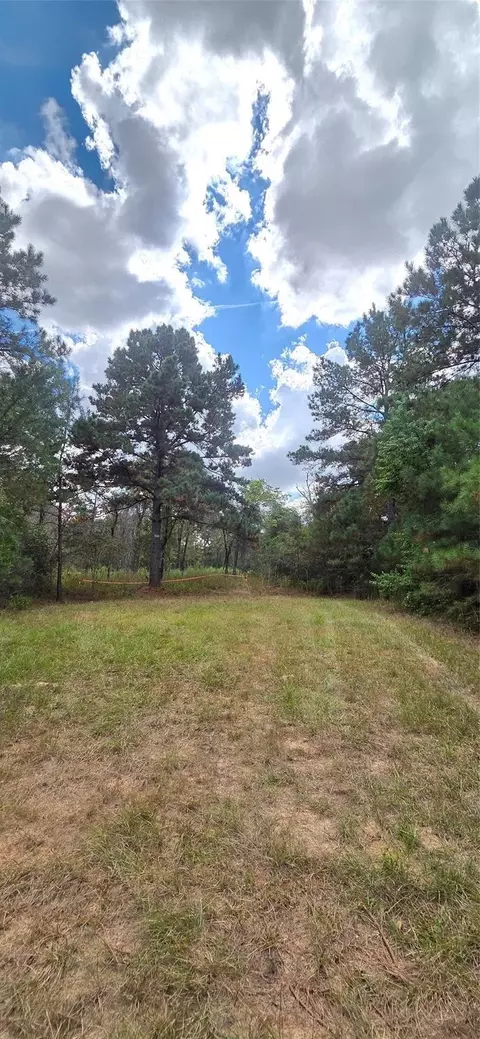 0 29699 Mcclellan Ct W, Hempstead, TX 77355