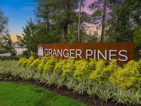 View/Area - 16960 Hazelnut Dr, Conroe, TX 77302 photo 3 of 4