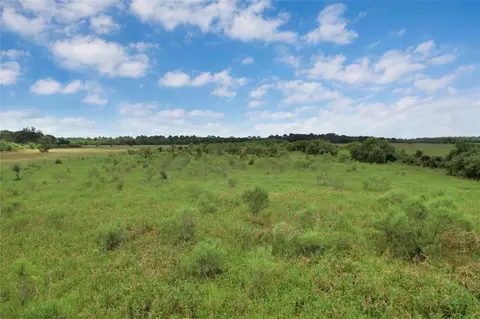 0000 Jobe Wilson Rd, Anahuac, TX 77514